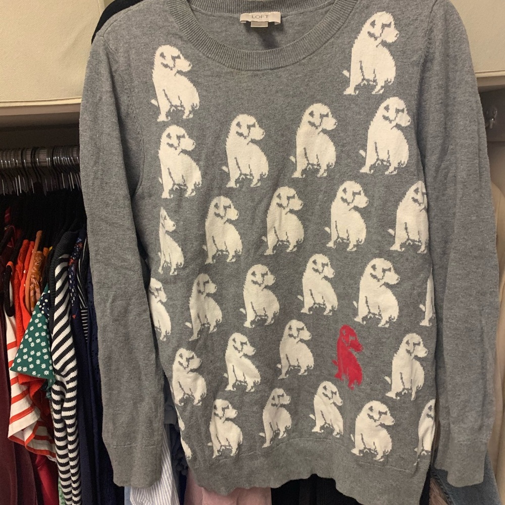 Loft Doggie Sweater 🐶